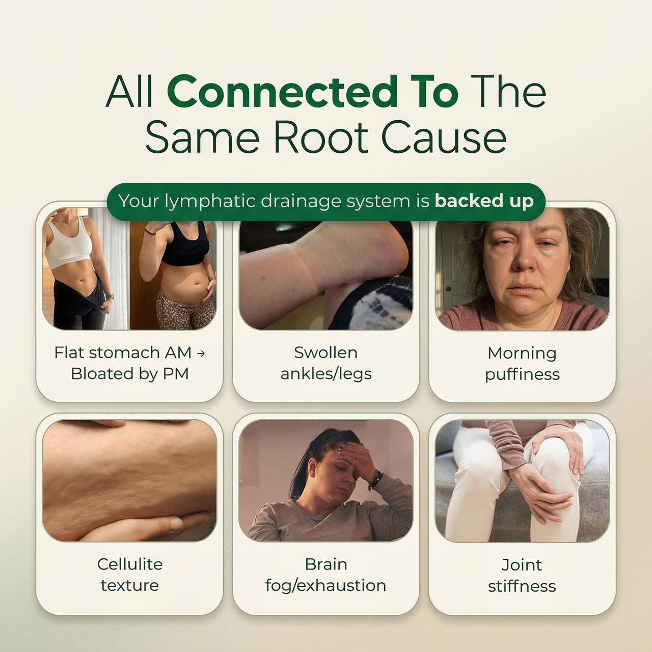 Ancestors Way Lymphatic Drainage Drops