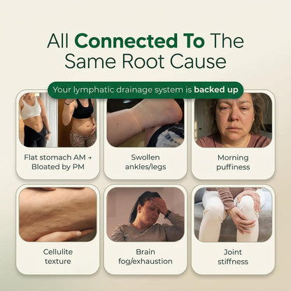 Ancestors Way Lymphatic Drainage Drops